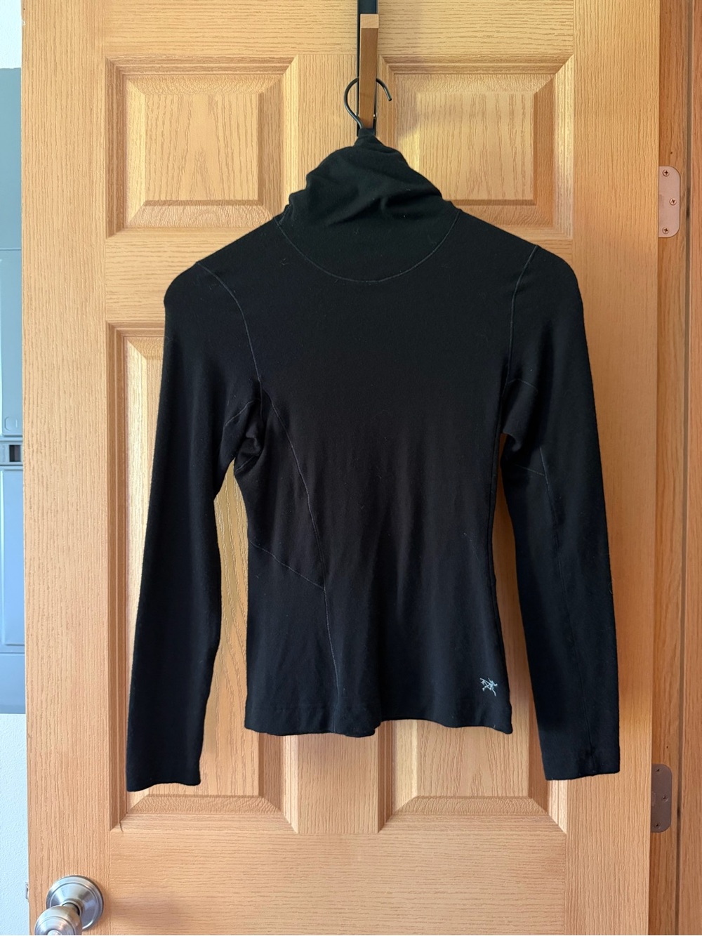 Arc’teryx merino wool base layer